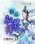 极品驭灵师 有声书