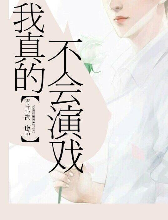 狂婿陈铁有什么境界