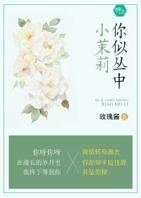 异术强婿笔趣