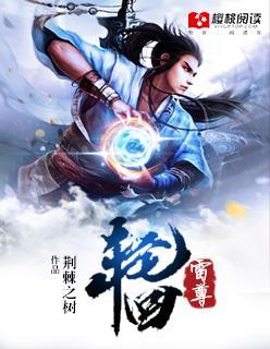 华丽家族原著