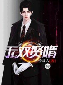 无双赘婿全集完整版