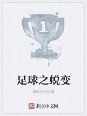 足球之道最新章节