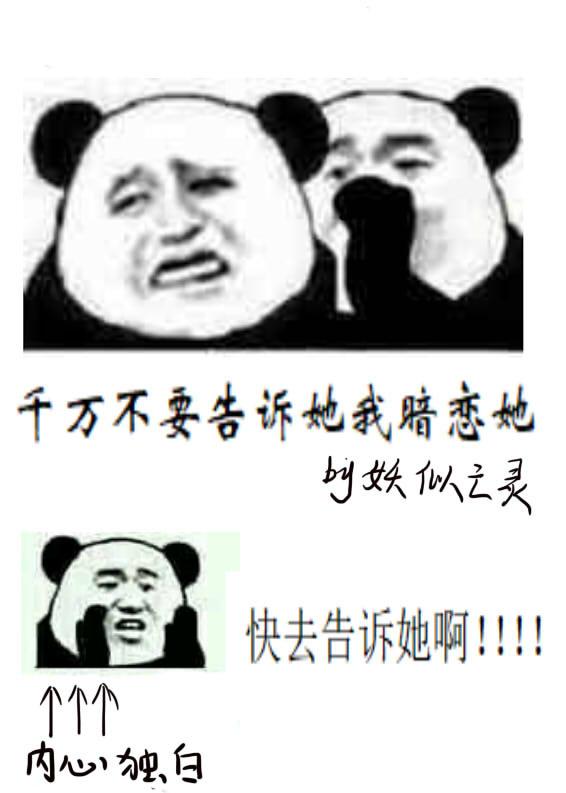 苏尘红豆绝尘军全文免费阅读