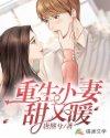 重生小妻甜又暧