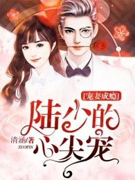 宠妻成瘾陆少的心尖宠全文