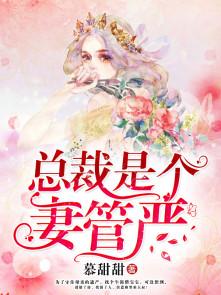 总裁老婆是个疯子大结局