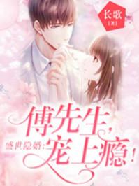 傅先生盛宠天价
