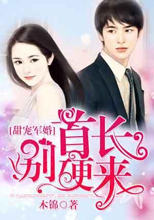 军婚宠入骨首长大人别太甜