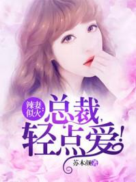 总裁轻一点免费阅读全文