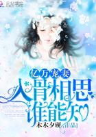 入骨相思谁人懂下句是什么