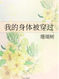 我的身体被穿过读全本