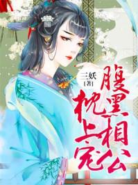 腹黑相公枕上宠好看吗?