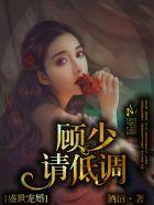 盛世宠婚顾少轻轻宠