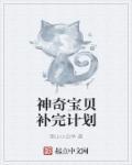 神奇宝贝一般z