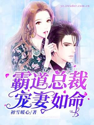 霸道总裁宠妻如命全集免费