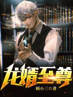 龙婿至尊第12集免费观看视频