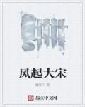 风起大宋TXT全本