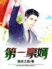 第一豪婿共多少章节