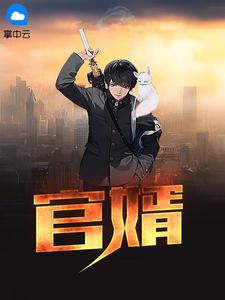 官婿升途