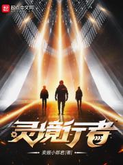 灵境行者笔趣阁txt