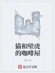 壁虎与猫头鹰的奇妙之旅