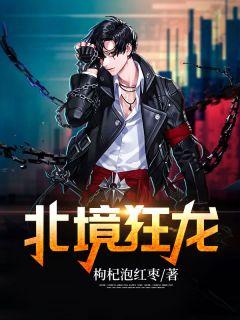 北境狂龙叶北一共多少章