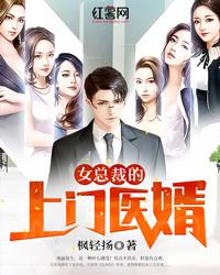 女总裁的上门医婿作者