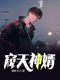 第一章摆摊的赘婿