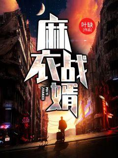麻衣神婿完整
