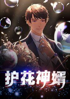 护花狂婿