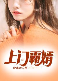 上门霸婿免费阅读