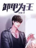 卸甲君王免费阅读