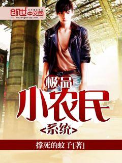 极品小农民系统 用什么软件看