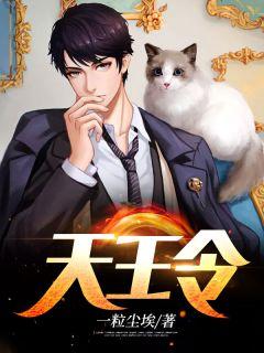 梦幻天王令