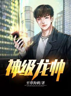 天罗十三针叶帅免费
