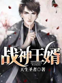 战神王婿免费阅读全文