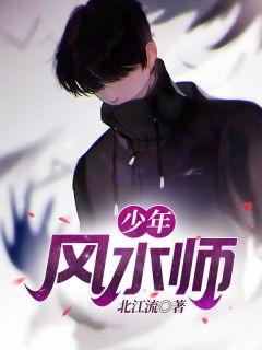 少年风水师后续