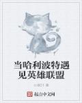 当哈利波特遇上dnf