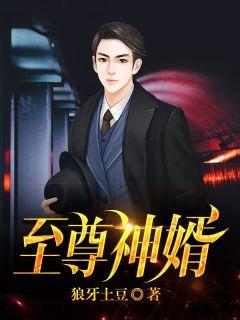 至尊神婿章节