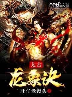 男主角叫林枫的都市