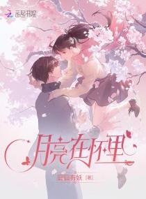 月亮在怀里by百度