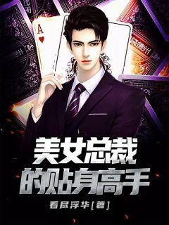 美女总裁的贴身高手完整版