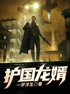 护国龙婿短剧免费完整版
