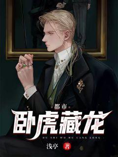 卧虎藏龙高手