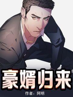 豪婿归来 叶宇