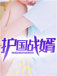 护国战婿txt
