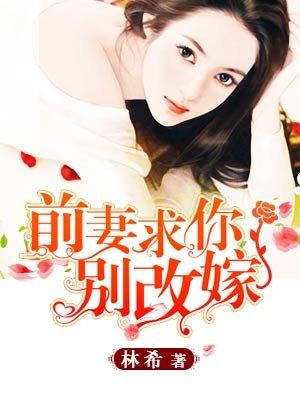 求你别改嫁 林希