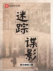 迷踪谍影最新章节TXT