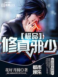 极品修真邪少TXT