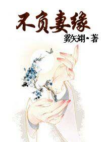 免费阅读不负妻缘